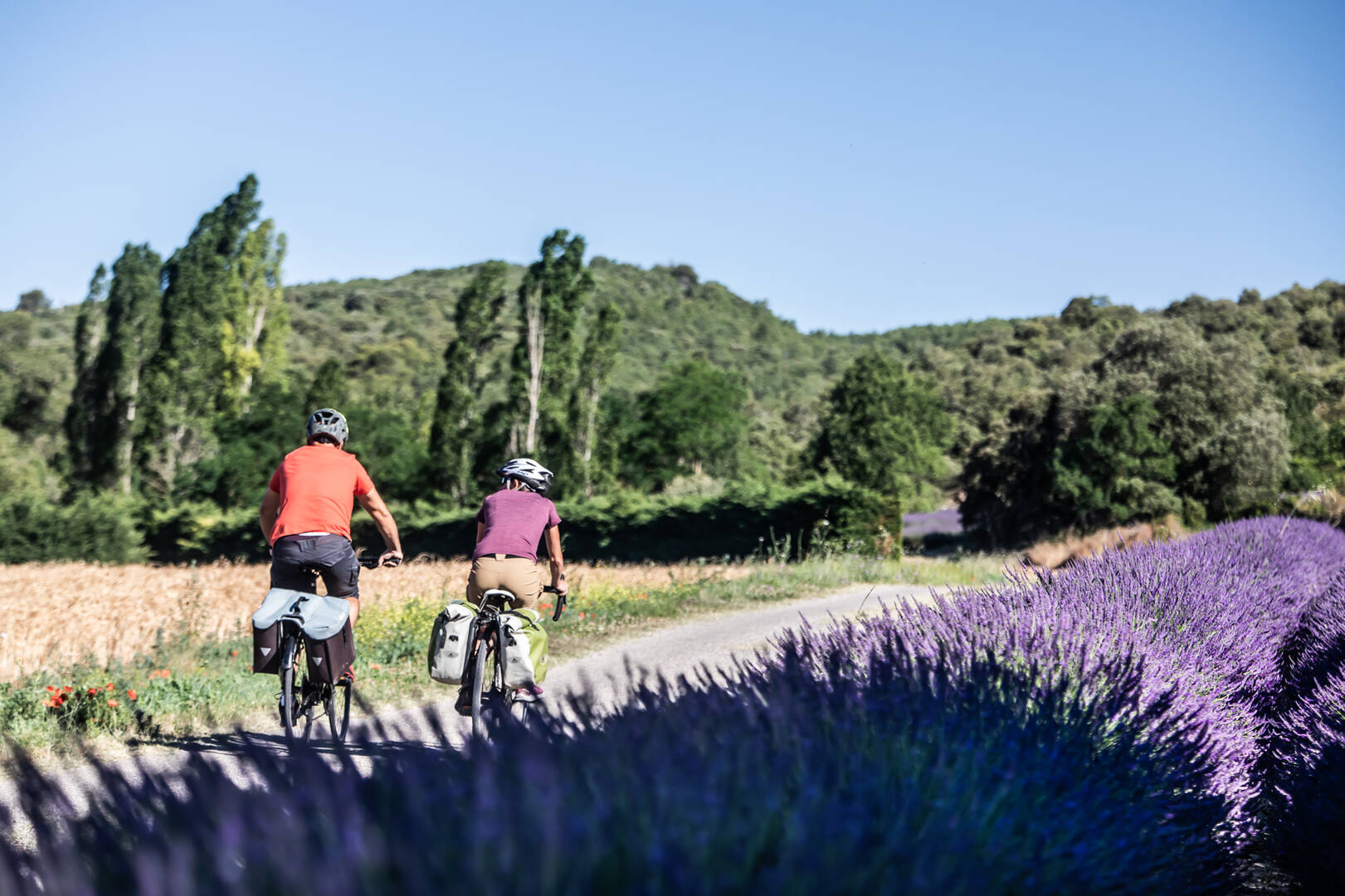 Velo loisir luberon online