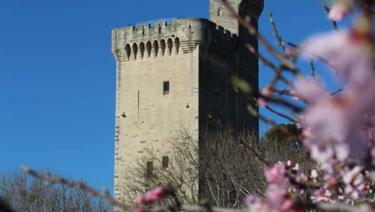 avignon tour philippe le bel