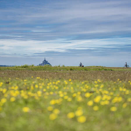 tour de normandie velo 2023