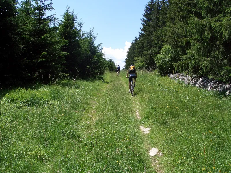 A VTT sur le Plateau de la Maîche