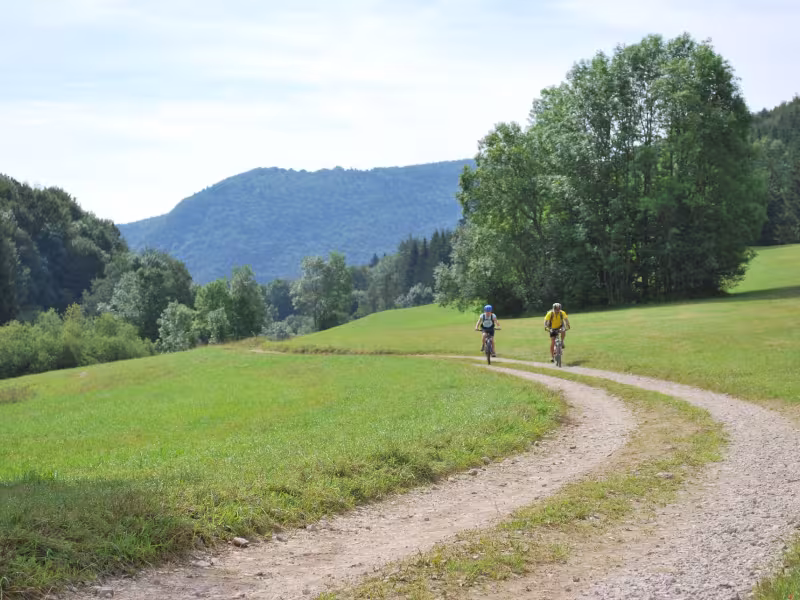 Le plateau de Retord à VTT
