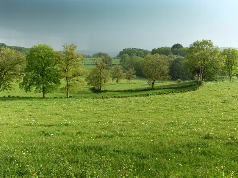 Campagne creusoise sous un ciel orageux