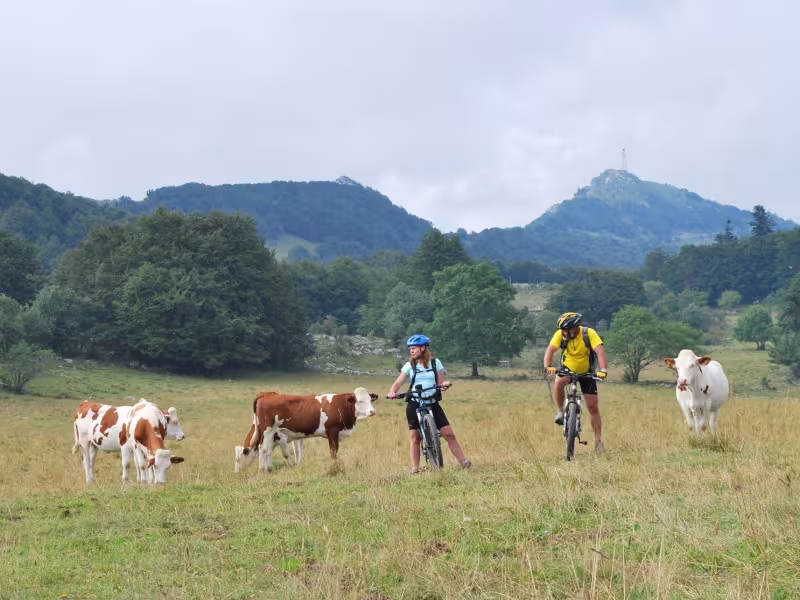 Ascension du Grand Colombier à VTT