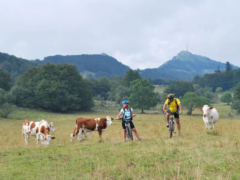 Ascension du Grand Colombier à VTT
