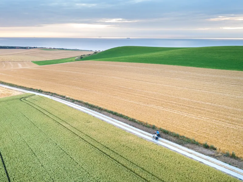 À vélo au milieu des champs - Wissant