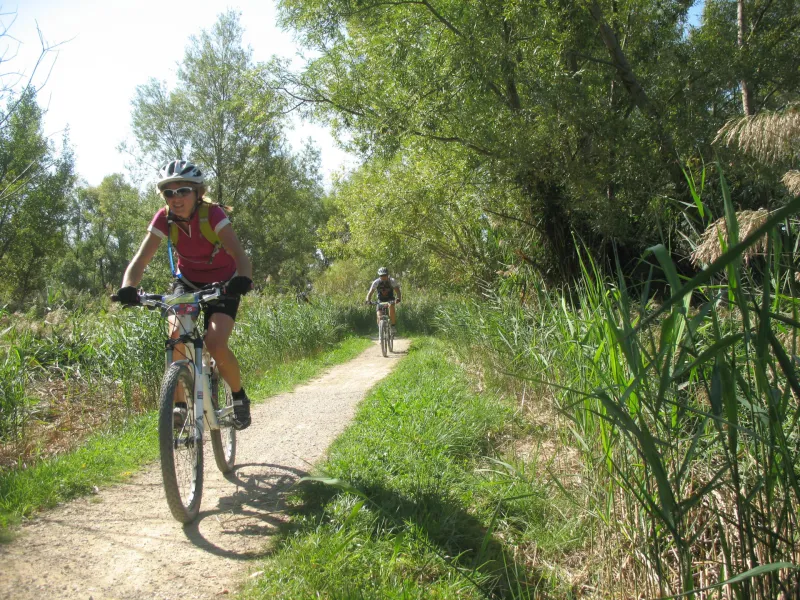 Chemin carrossable à VTT