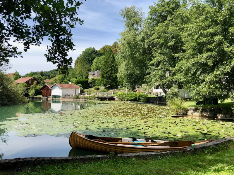 Barque dans les marais du Pays du lac d'Aiguebelette