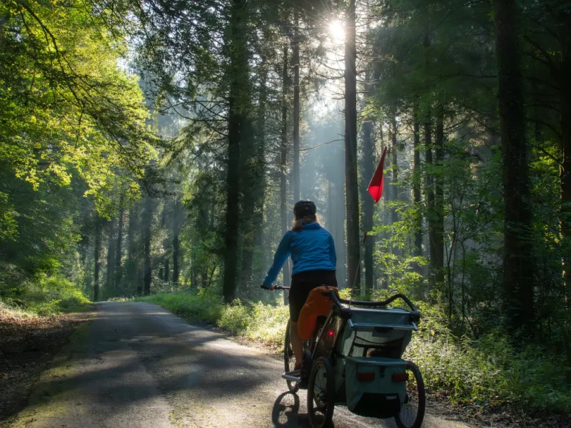 Traversée du Bois de Lourdes à vélo