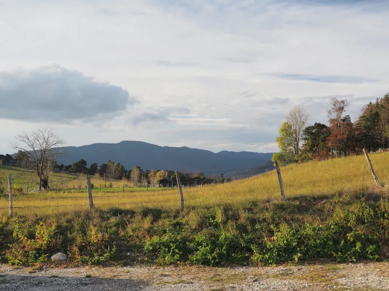 Champs et clôture typique du Vercors