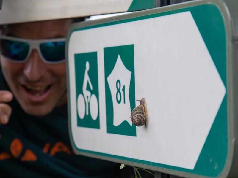 Éloge de la lenteur - V81 / La Vélosud