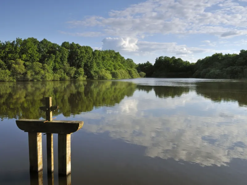 Etang en Sologne