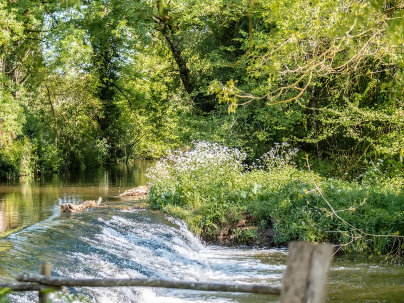 Rivière à Chazelles
