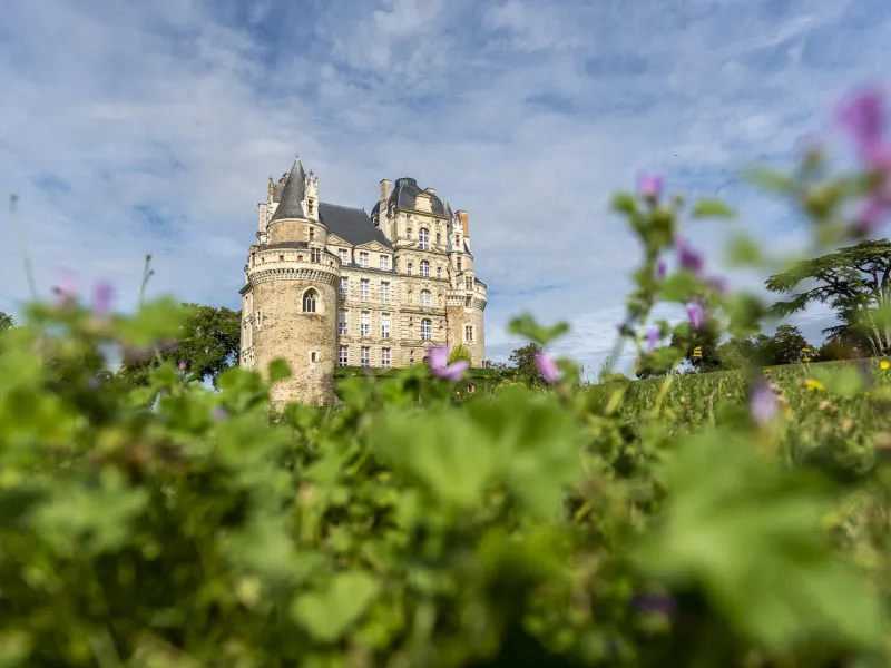 Le Château de Brissac au dessus du vignoble du Layon