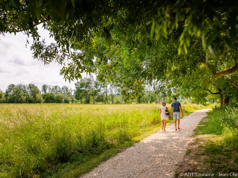 Prairies du Roy vers Loches