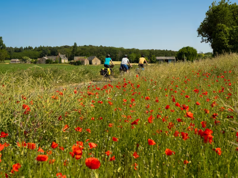 Cyclistes dans la vallée de la Sarthe