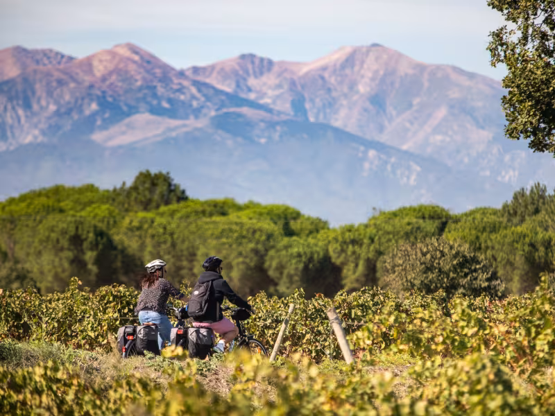 Les Pyrénées en arrière plan