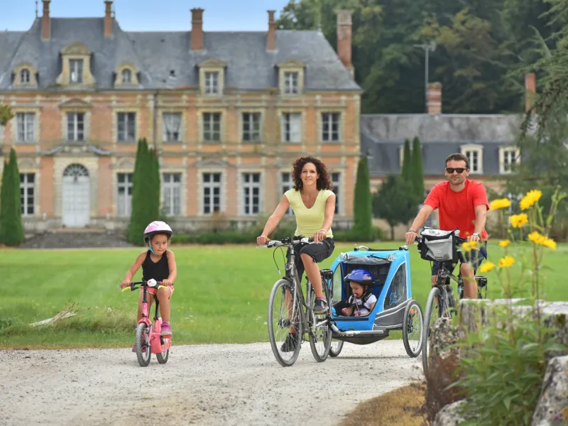 Château de Mézières lez Cléry