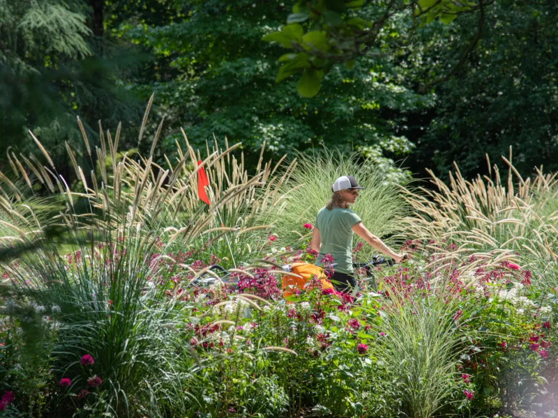 Jardins de Massey à Tarbes