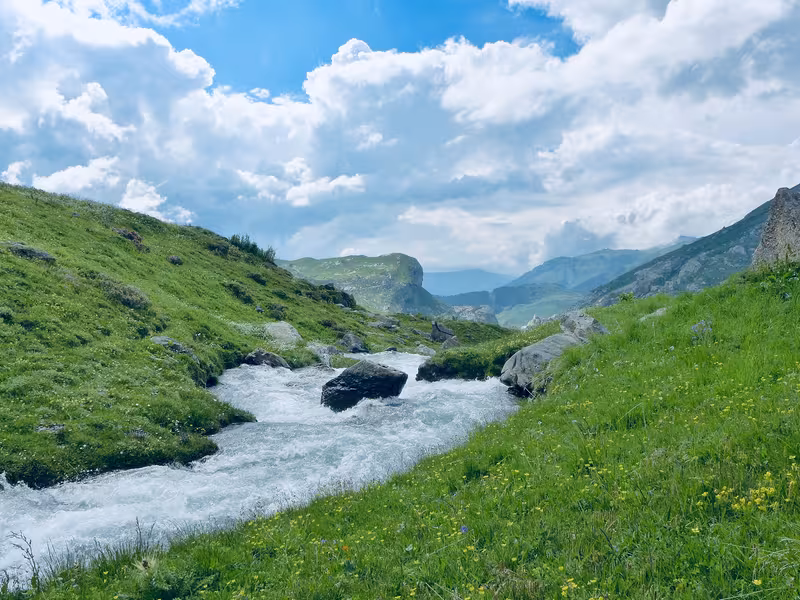 Torrent et alpages du Cormet de Roselend