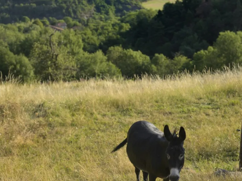 Vallée de Deûme