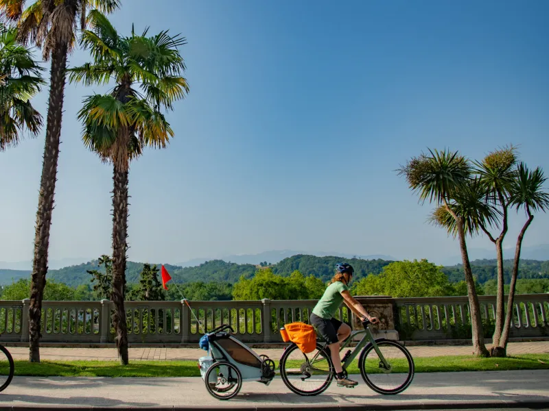 À vélo sous les palmiers - La Vélosud