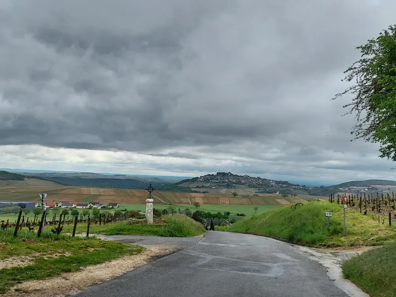 Vue sur le vignoble de Sancerre