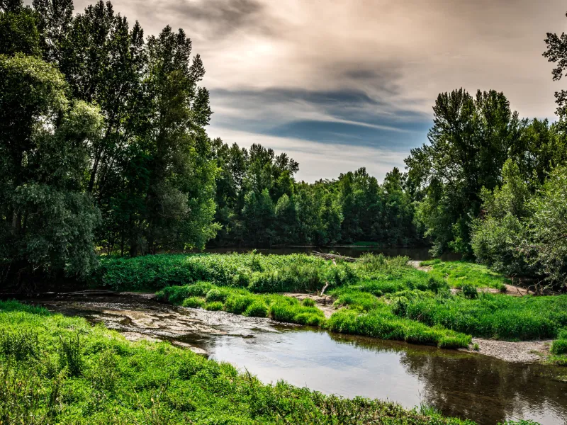 La rivière Allier vers Luzillat