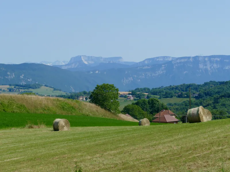 Vue sur la Chartreuse depuis l'Avant-Pays Savoyard