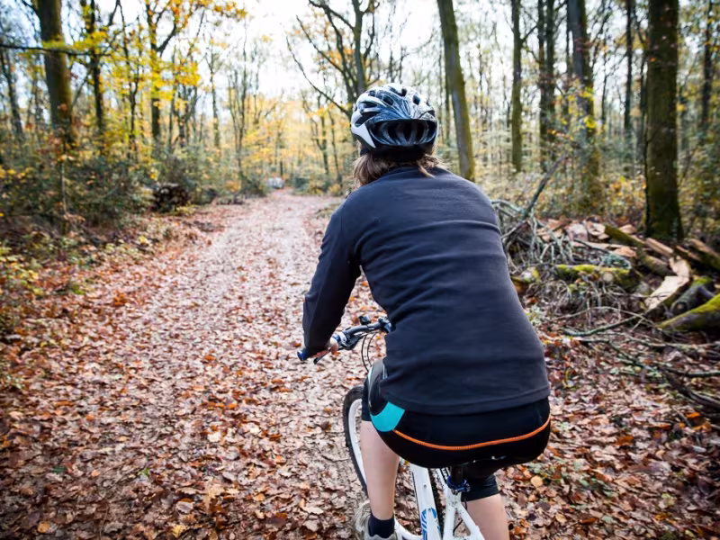 Balade à vélo en forêt de Vioreau