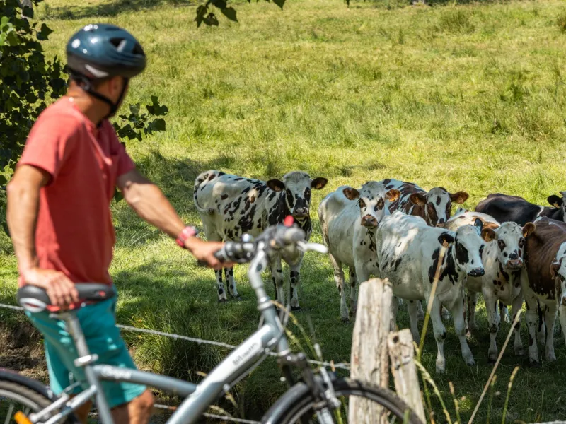 À vélo sur La Verdoyante