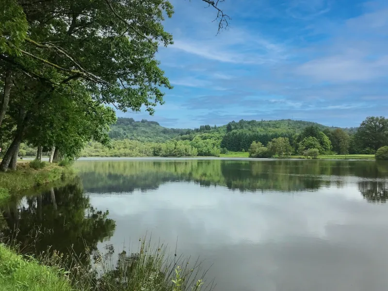 Etang de Mortemare à Bonnac-la-Côte