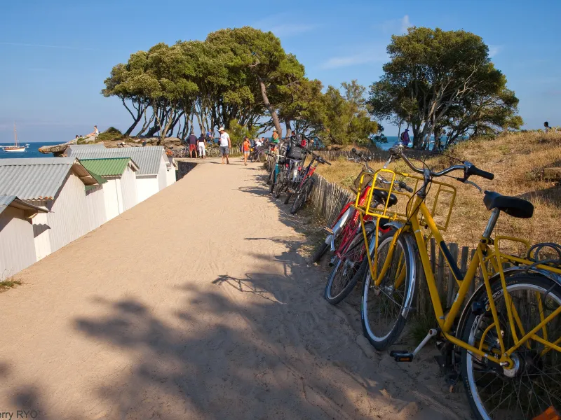 Bord de mer de Thierry Ryo