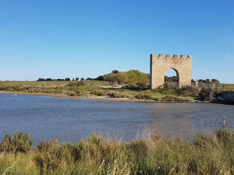 La cathédrale de Maguelone
