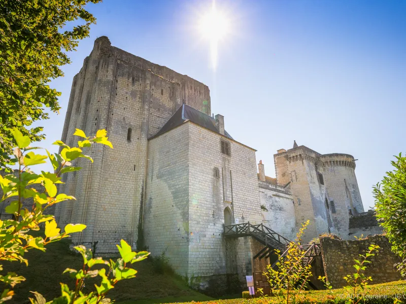 Le donjon de Loches