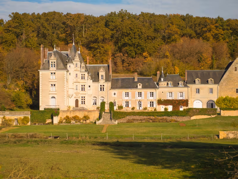 Château de la Roche d'Alès à Marray