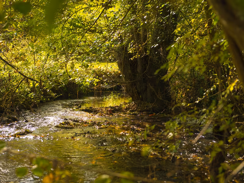 La vallée de la Dême à Chemillé-sur-Dême 