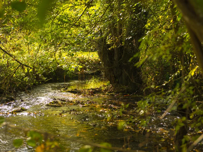 La vallée de la Dême à Chemillé-sur-Dême 