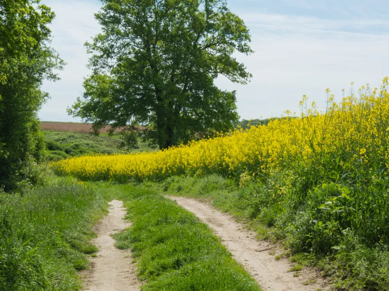 Chemin vers Racan