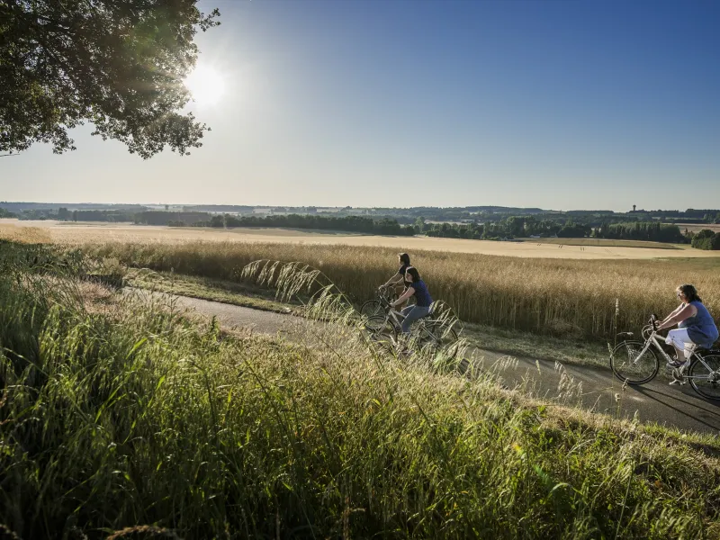À vélo en Touraine