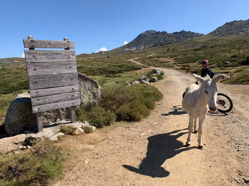 Plateau du Cuscione