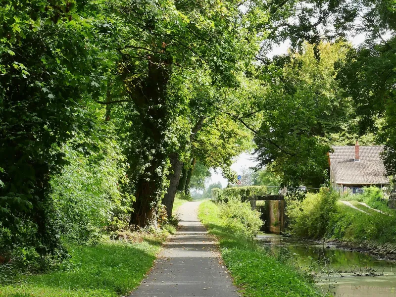 Canal de Berry entre Vierzon et Foëcy