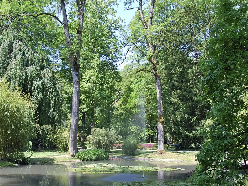 Parc du château de Joinville