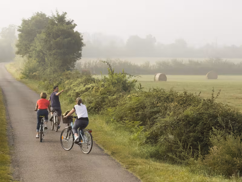 Balade champêtre en queue de Brenne - Boucle vélo n°12