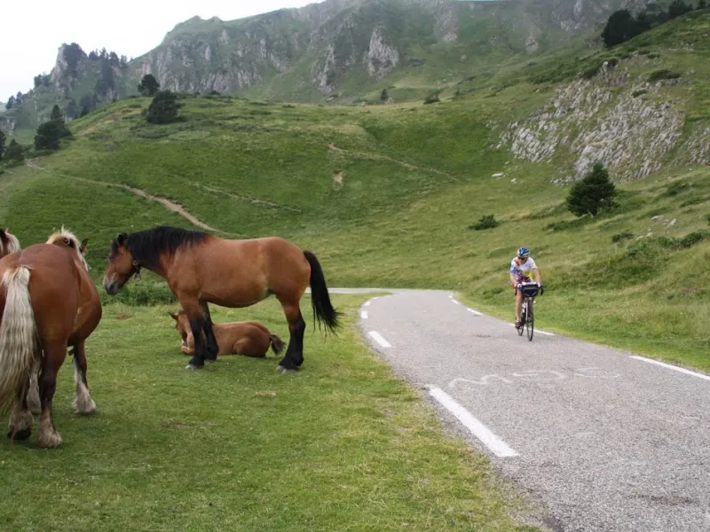 Cycliste dans le col de Pailhères