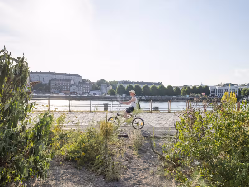 Cycliste sur le quai des Antilles