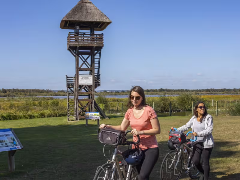 Cyclistes devant l'observatoire d'oiseaux au Marais Vernier 