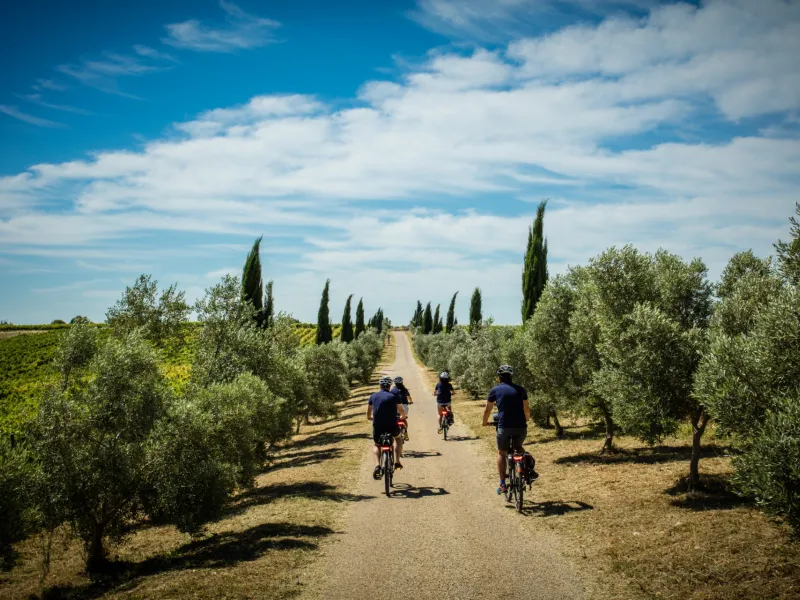 Cyclistes en Provence