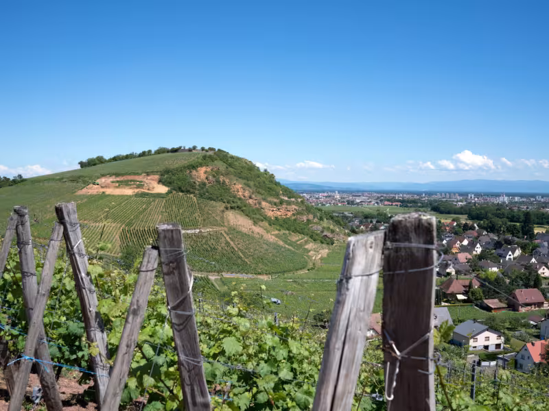 Panorama sur la Véloroute du Vignoble / EuroVelo 5