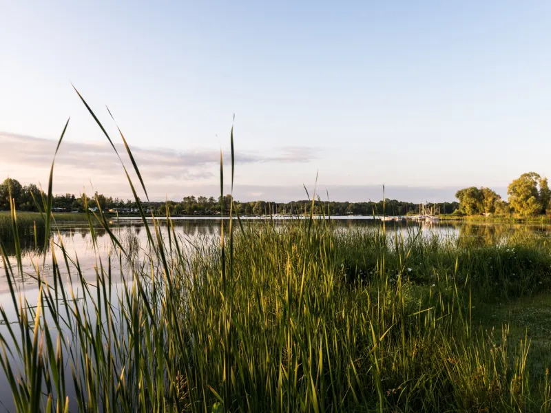 Etang du Stock