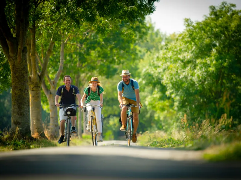 Voie verte à vélo